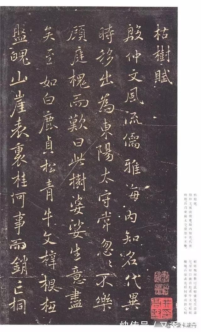 文学作品$褚遂良《枯树赋》有美女婵娟，不胜罗绮之态