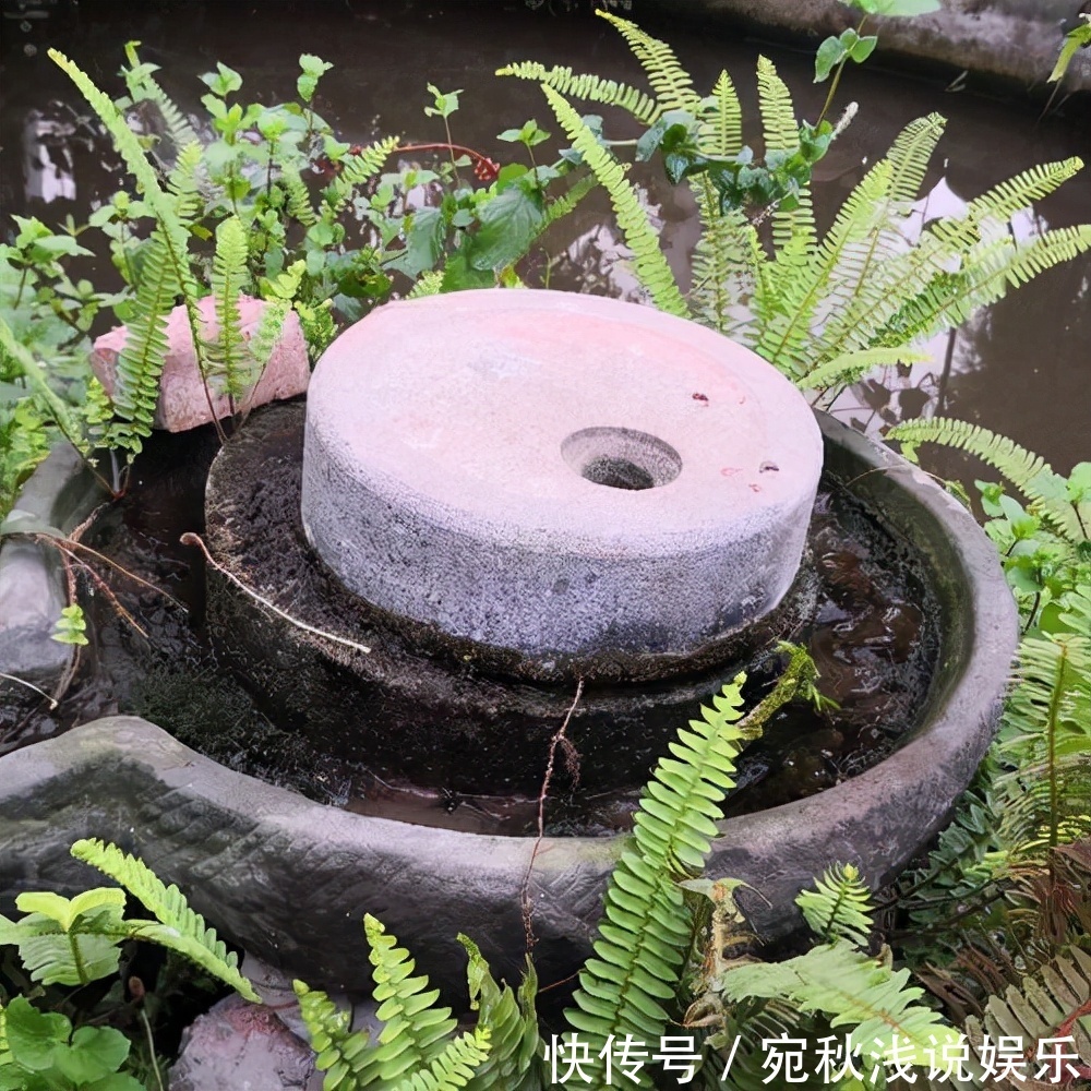 老家具|农村这6种老家具,如果你家有,千万别当柴火烧了,价值不菲