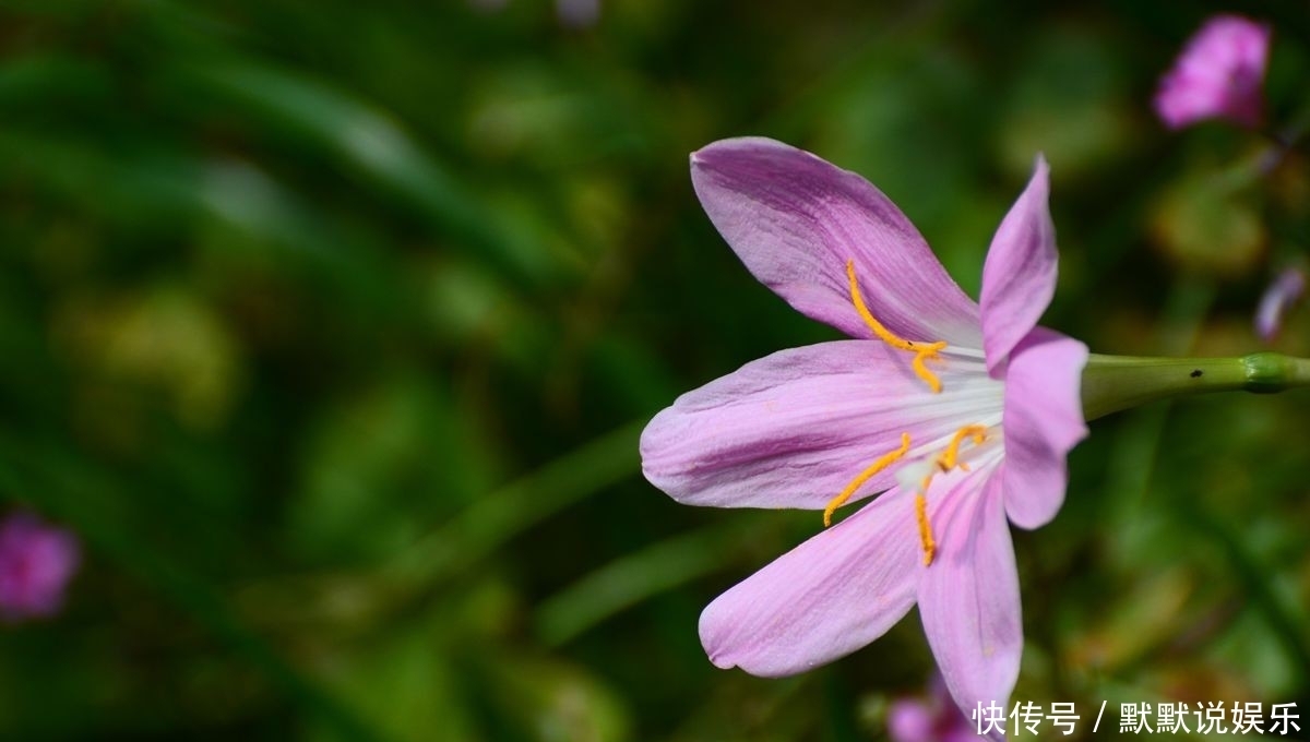 孩子|妈妈最大的智慧,就是让孩子们和聪明人聊天