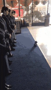 |搞笑GIF:日防夜防闺蜜难防