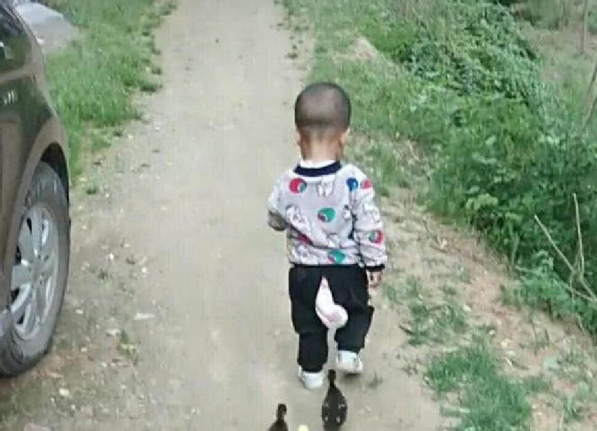 孩子|孩子拒绝母亲陪同散步,说是跟小鸭子约好了,她跟过去一看乐坏了
