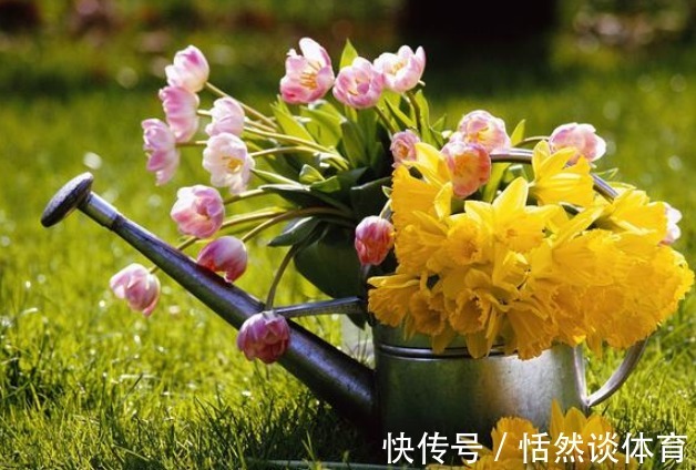 早上和晚上“浇花”大有区别,很多人都浇错了,难怪花草长不好