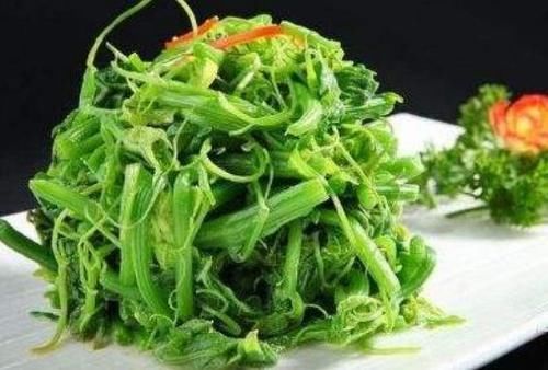 好处|长寿老人都爱吃的3种食物,补充营养,健胃消食,好处多多