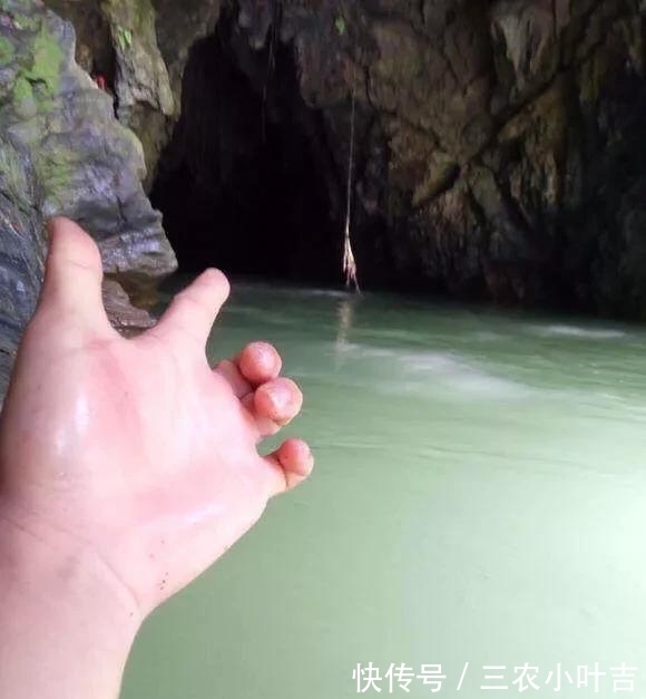 深山|深山溶洞钓鱼, 全是奇葩鱼类, 你见过这些鱼吗