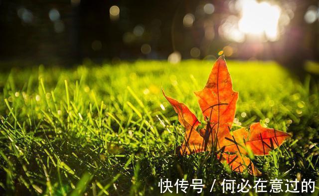 低调&做人的大智慧：低调谦虚