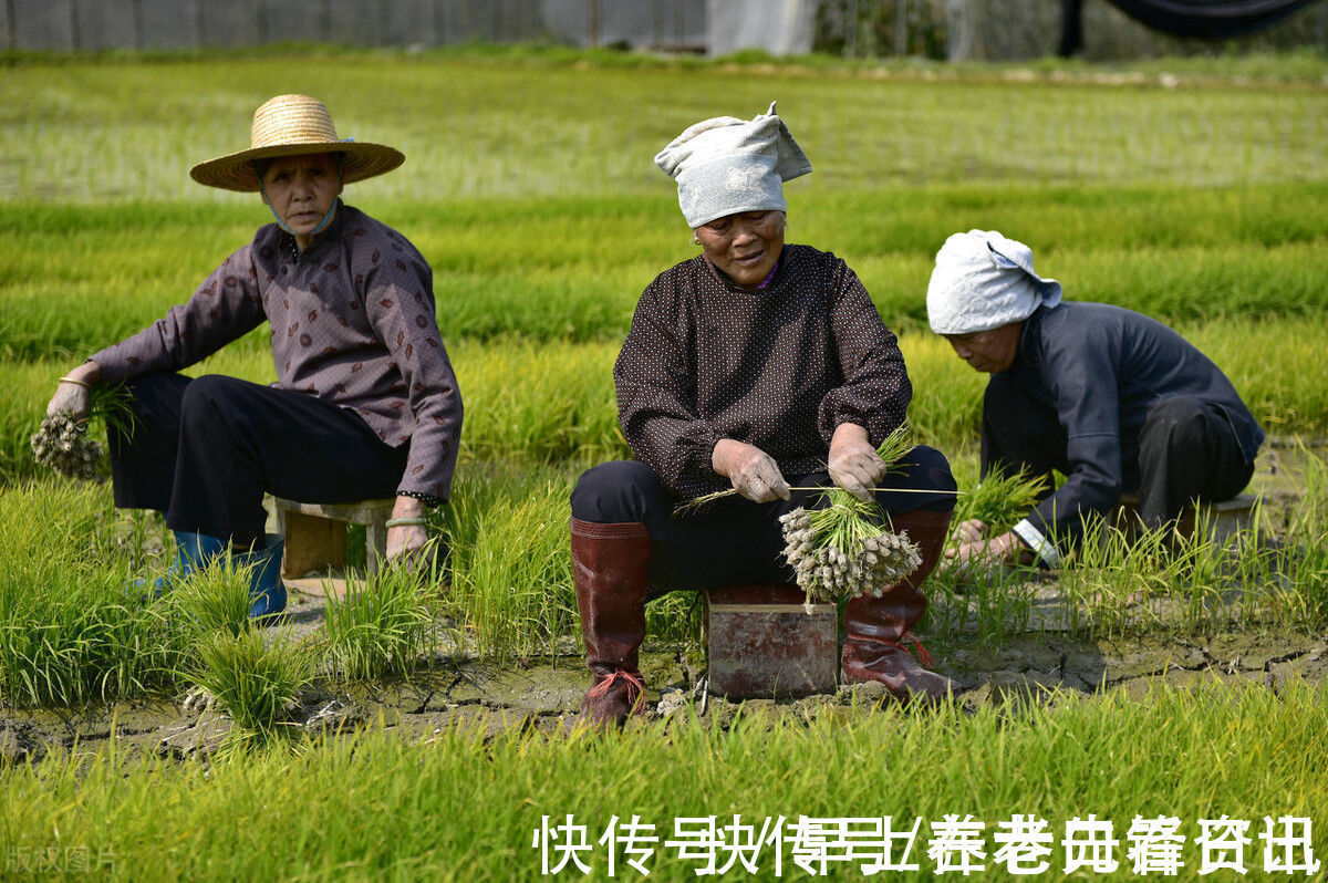 佳法|还在苦寻长寿妙方么?其实做好这一个字,也就得到长寿佳法