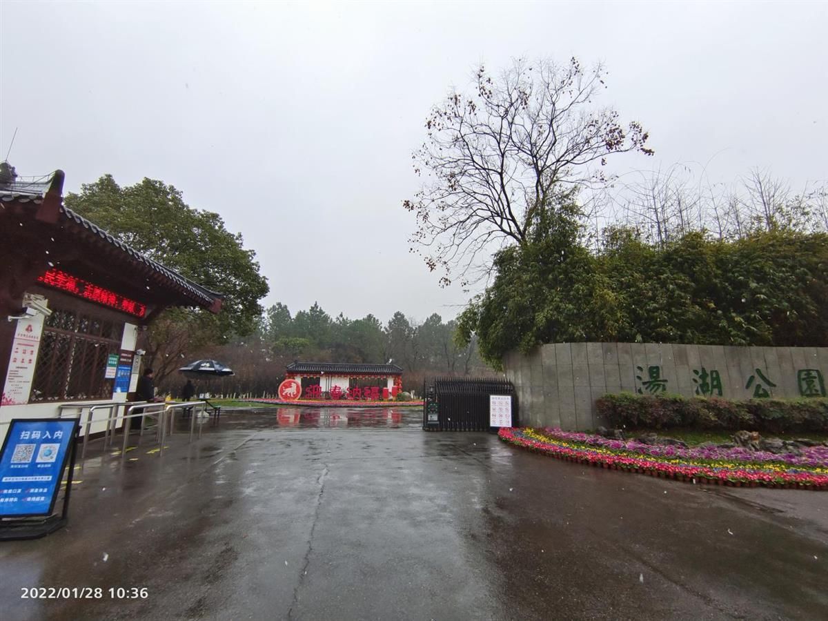 红梅傲雪|春节期间，汤湖公园室外游园活动正常开放