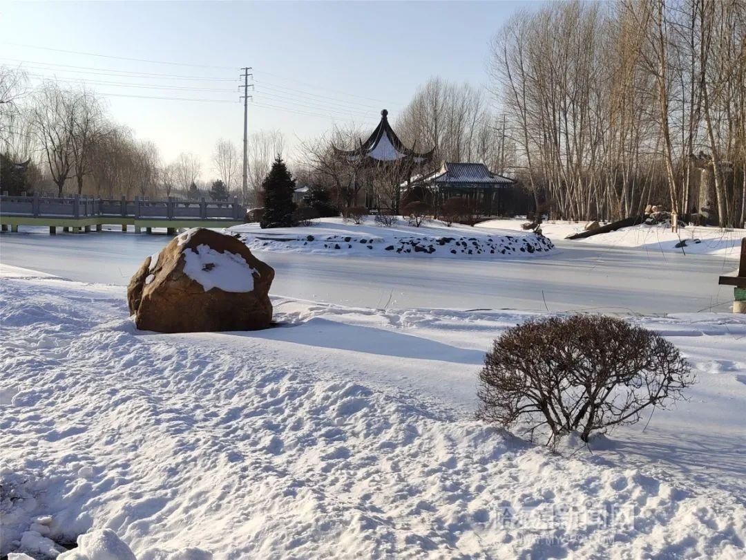 亭园|中国亭园不闭园，拍照打卡赏雪绝佳