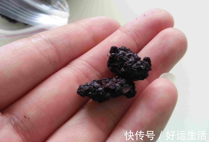 泡酒|桑葚干和此物一起配着吃，给身体滋补滋补，腰不酸了，胃口也好了