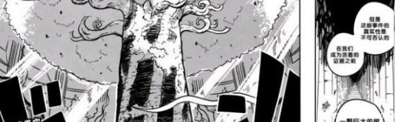 海贼王乔艾莉·波妮竟然是暴君熊的母亲，信息量太大