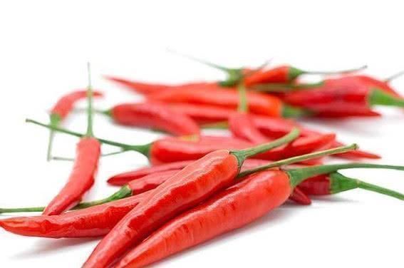 菌类|湿气重病缠身 常吃这几种食物, 排出体内湿毒, 无病一身轻