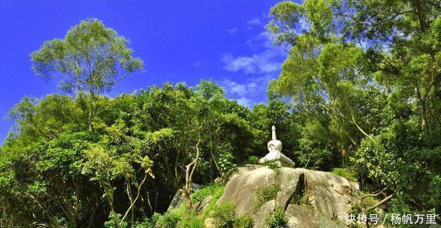 王室|此人本是王室后裔，家族隐匿500年无人知晓，祖坟被挖时方才现世！