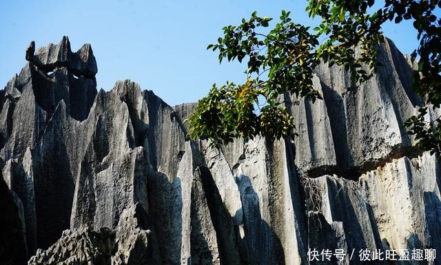 美图|古典园林中的石景造型竟然来自这里，“造园之源”果然鬼斧神工