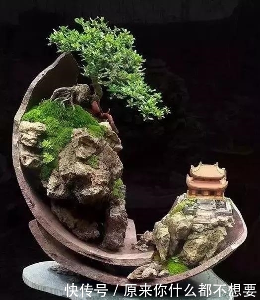 世界上又一奢侈品《盆栽》一盆就是一座房子!