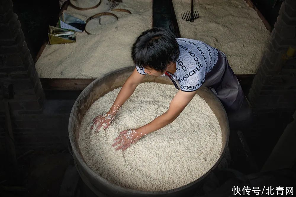 红曲|护血管只知道吃三七？天然“血管清道夫”，中医常用它泡水喝