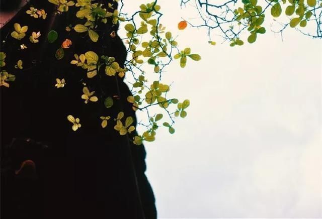 奇文|千古奇文《心相篇》20句话,看透人性,诠释人生,百读不厌