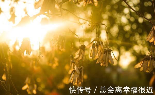 红润|阳气不足的人，与阳气充足的人相比，区别在哪里？阳气能补充吗？