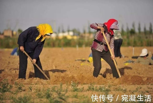 土豆|中国这个沙漠就要“消失”，如今已成为一片绿洲，还种植上了土豆