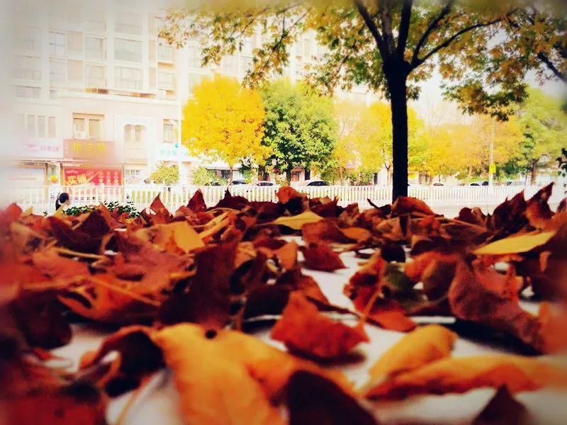 降雨|降温+大风+降雨,气温要将至个位数啦!