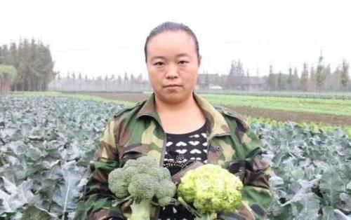 西兰花|3种西兰花不要买,越早知道越好,菜贩:我们从来不吃!