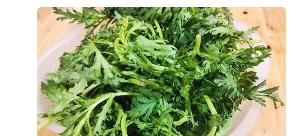 茼蒿为什么叫“皇帝菜”？吃茼蒿的7个好处和3个禁忌你了解吗