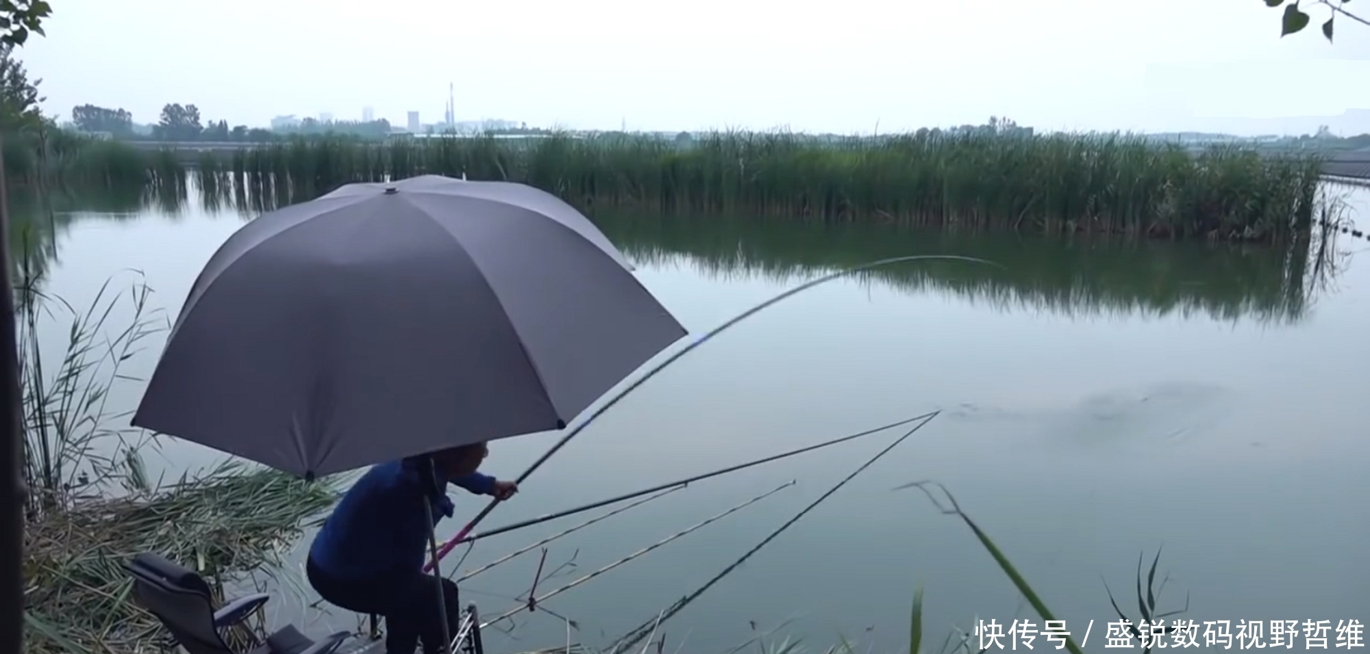 大鱼|这5个钓鱼知识虽冷,却是十足的常识,你是否因犯迷糊而忽视呢?