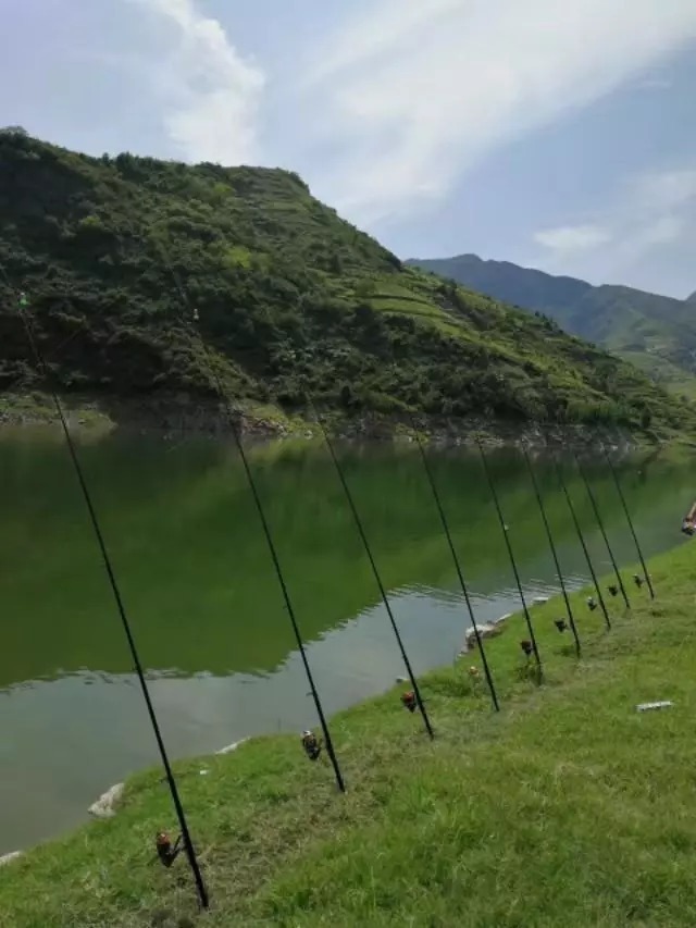 自制爆炸钩饵料,大鱼一个连一个,真过瘾,这也太牛了