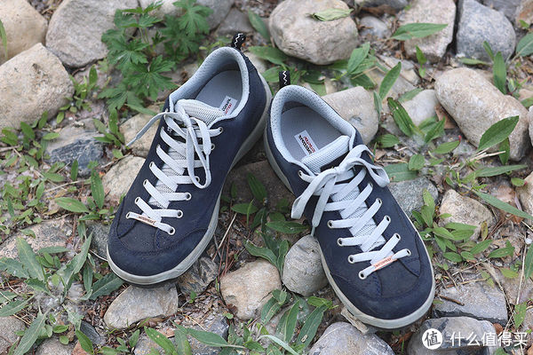 斯立德|随风奔跑，自由是方向