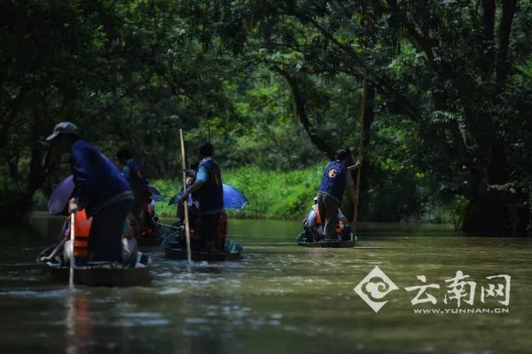 免费|准考证保管好！云南多个景区对中高考生免费