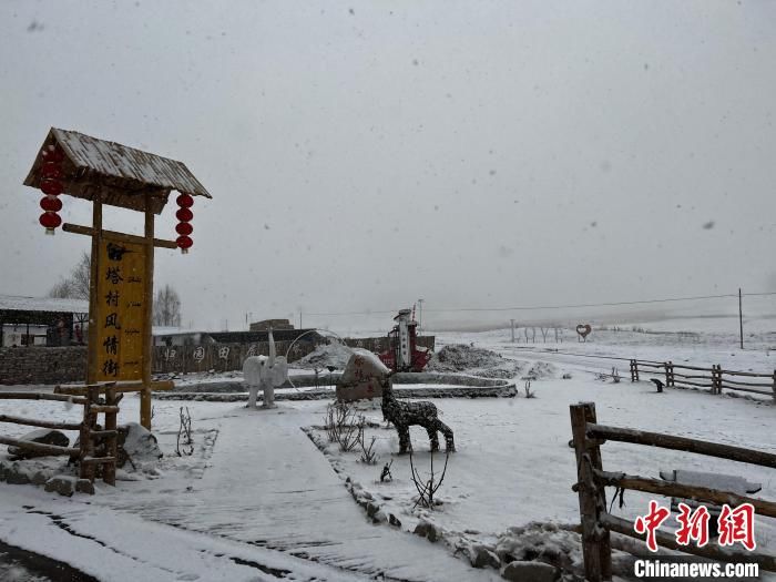 塔村|新疆“塔村”：一个有颜值的“网红”旅游村