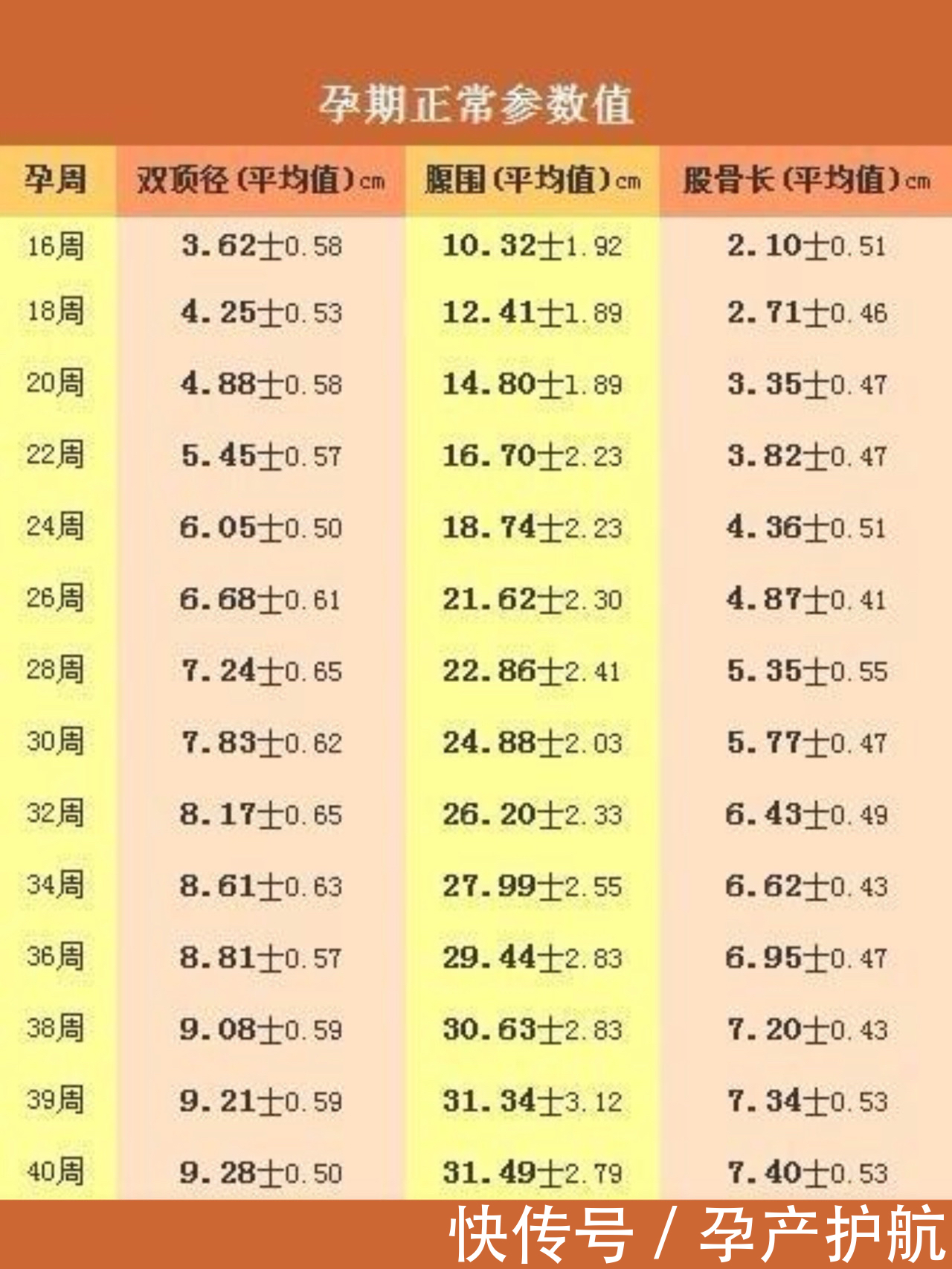 术语大揭秘|手把手教你看懂孕检B超单| 产科医生