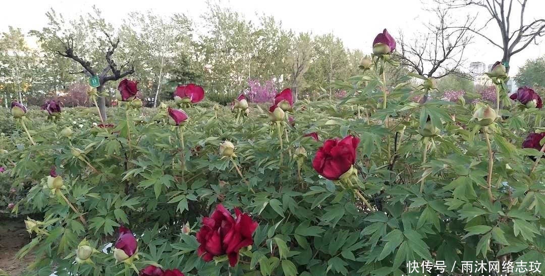 湘乡|曾国藩:不要多管闲事,有福不可享尽,有势不可使尽