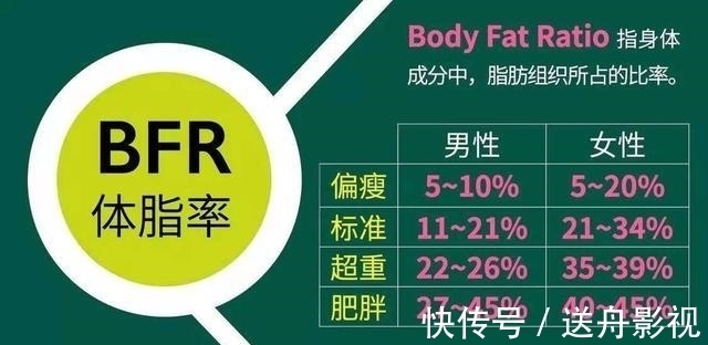 体重|基础代谢率、BMI、体脂肪率、肌肉量、体水分率，这些都是什么？