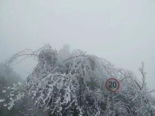 南方人在等雪，而这里没下雪却能看雪景。