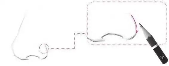 鼻孔@零基础素描教程:分步骤讲解34侧面鼻子画法,简单易学,快临摹