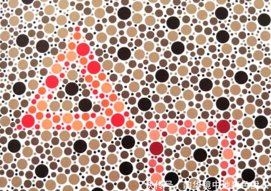 图片 色盲测试:第一张是飞机,最后一张的图案,“马虎”的人认不出!