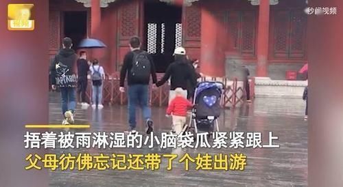 萌娃|爸妈牵手游故宫,留萌娃自己推婴儿车!网友:父母是真爱孩子是意外