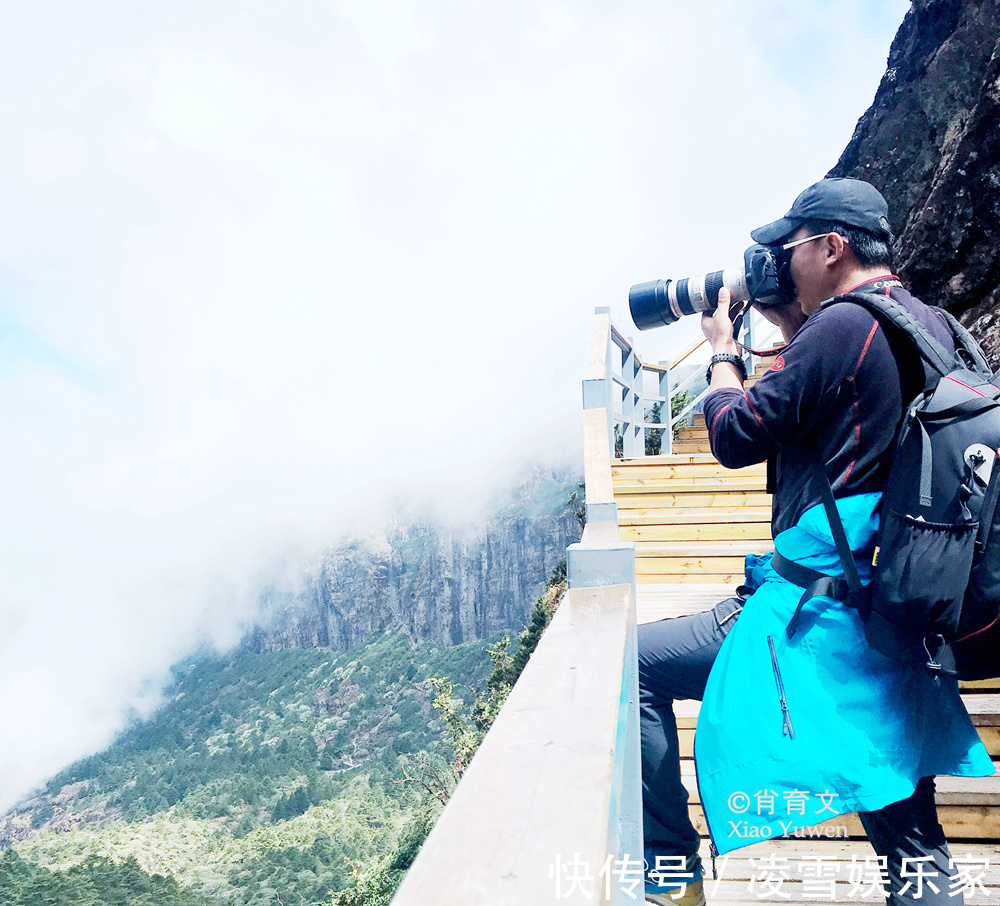 云南|已到山花烂漫时，到云南观鸟，无疑是度过完美夏天的最佳方式