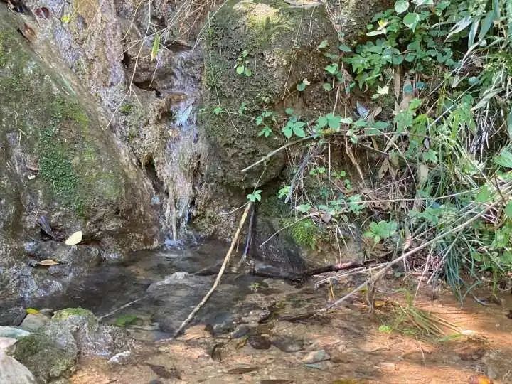 冷水池|杭州小山村发现温泉，自带硫磺味！这里还藏着更大惊喜