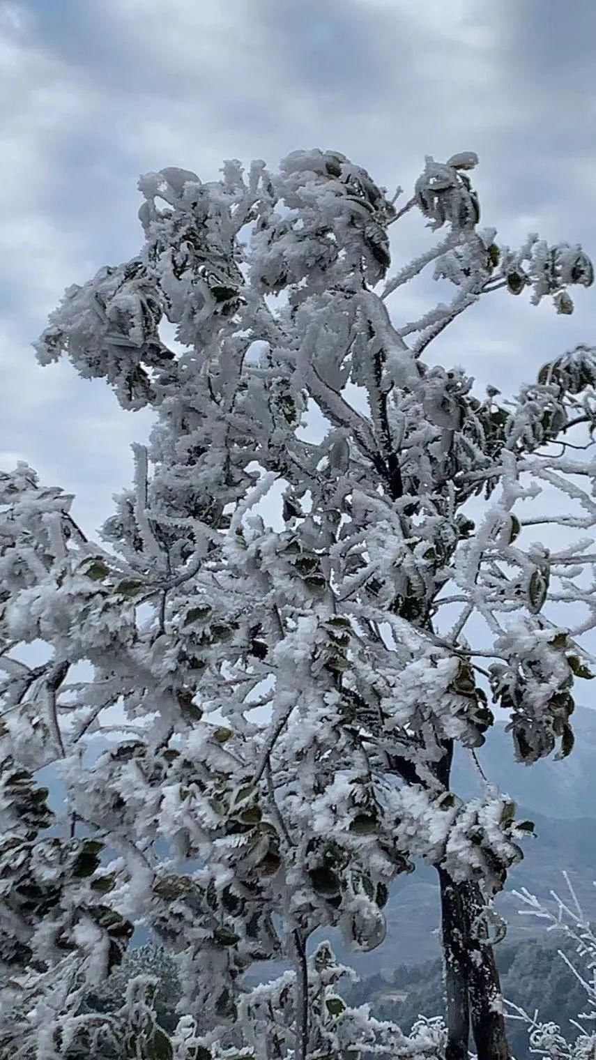 下雪天，凯里小高山的风景好美哦！