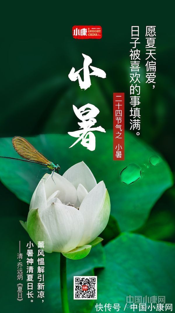 翠竹亭亭!万物有时 岁月成诗:打开二十四节气的另一种方式