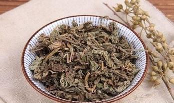 农村常见杂草,竟是“天然养肾草”,每天喝,助你摆脱男性尴尬