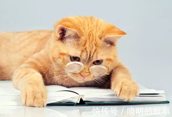 |《开心时刻》最经典小笑话,笑抽筋了,发给大家解解压