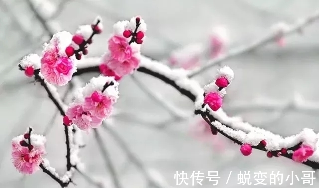 水力$雪化方懂云水力,春归自醉杨柳风