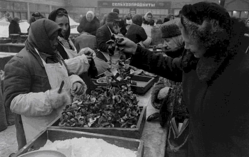 美国|50年代,苏联普通家庭生活如何?看看美国记者记录的