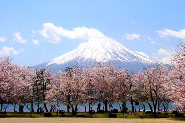 事情|去日本旅行，尽量少做这几件事情，当地人可能“翻白眼”