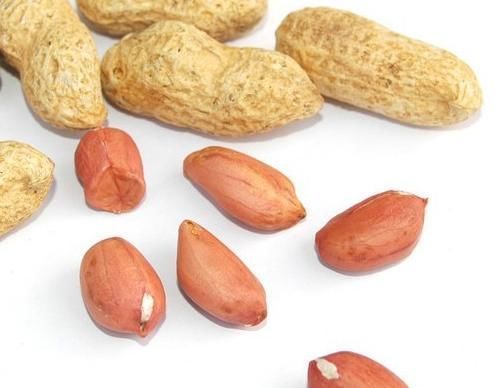 营养|会吃的女性最健康,秋季离不开三种食物,营养滋补女性爱吃