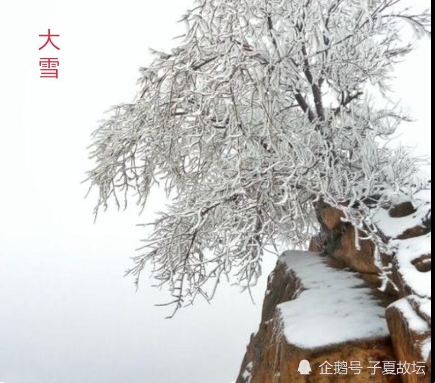  九天|大雪节气：万树有花春不红，九天无月夜长白