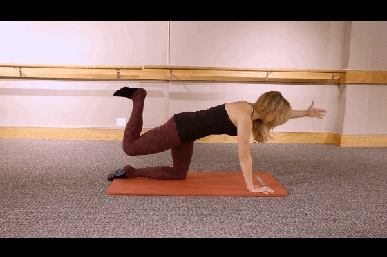 艾维特|8岁科研女孩，健身3年增重30斤，“学霸与微胖”的结合体