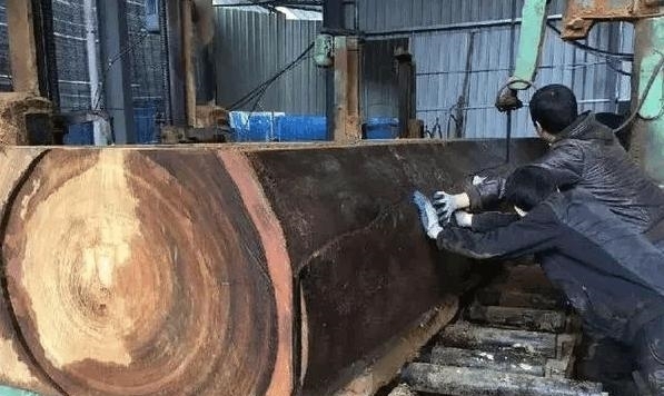 板料|成批卡车成批运回非洲原木, 全切实木大板却引广泛质疑?